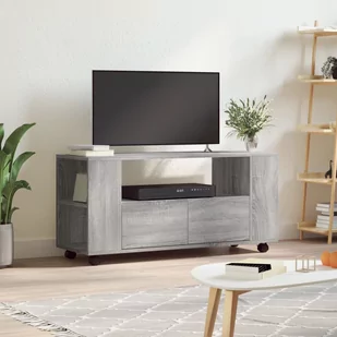 Szafka pod TV, szary dąb sonoma, 102x34,5x43 cm Lumarko! - Szafki RTV - miniaturka - grafika 1