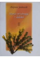 Religia i religioznawstwo - Morze przybywa z daleka - miniaturka - grafika 1