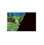 Dekoracje do akwarium - Zolux Tło akwariowe dwustronne 40 x 60 cm korzeń/czarne - miniaturka - grafika 1