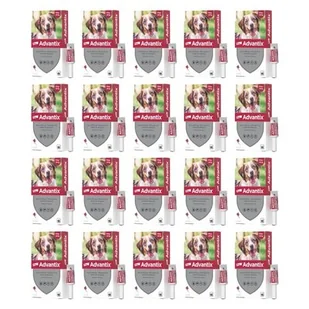 Krople na pchły i kleszcze BAYER Advantix Spot-on Średnie psy (10-25 kg) 80 x 2.5 ml - Artykuły przeciw pasożytom - miniaturka - grafika 1