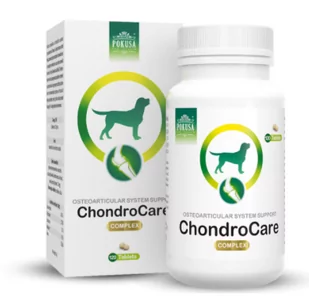 Pokusa FOR HEALTH ChondroLine ChondroCare 120 tabl 54169-uniw - Suplementy i witaminy dla psów - miniaturka - grafika 1