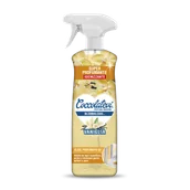 Środki do kuchni i łazienki - Coccolatevi Bloomalcool Vaniglia 750 ml — uniwersalny spray z alkoholem - miniaturka - grafika 1