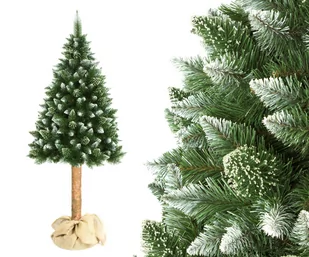 Elma Choinka bożonarodzeniowa na pniu 180 cm sosna - Choinki - miniaturka - grafika 1