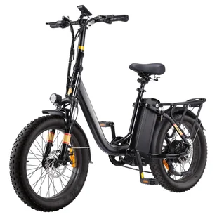 Free Electric Bike 250W Motor 48V 15 6Ah Battery 20*3 0 inch Tire 25km/h Max Speed 120km Range Front - Rowery elektryczne - miniaturka - grafika 1