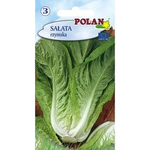 Sałata Rzymska Polan - Nasiona i cebule - miniaturka - grafika 1
