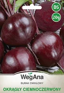 Nasiona i cebule - Burak cwiklowy Okragly Ciemnoczerwony 20g nasiona - WegAna - miniaturka - grafika 1