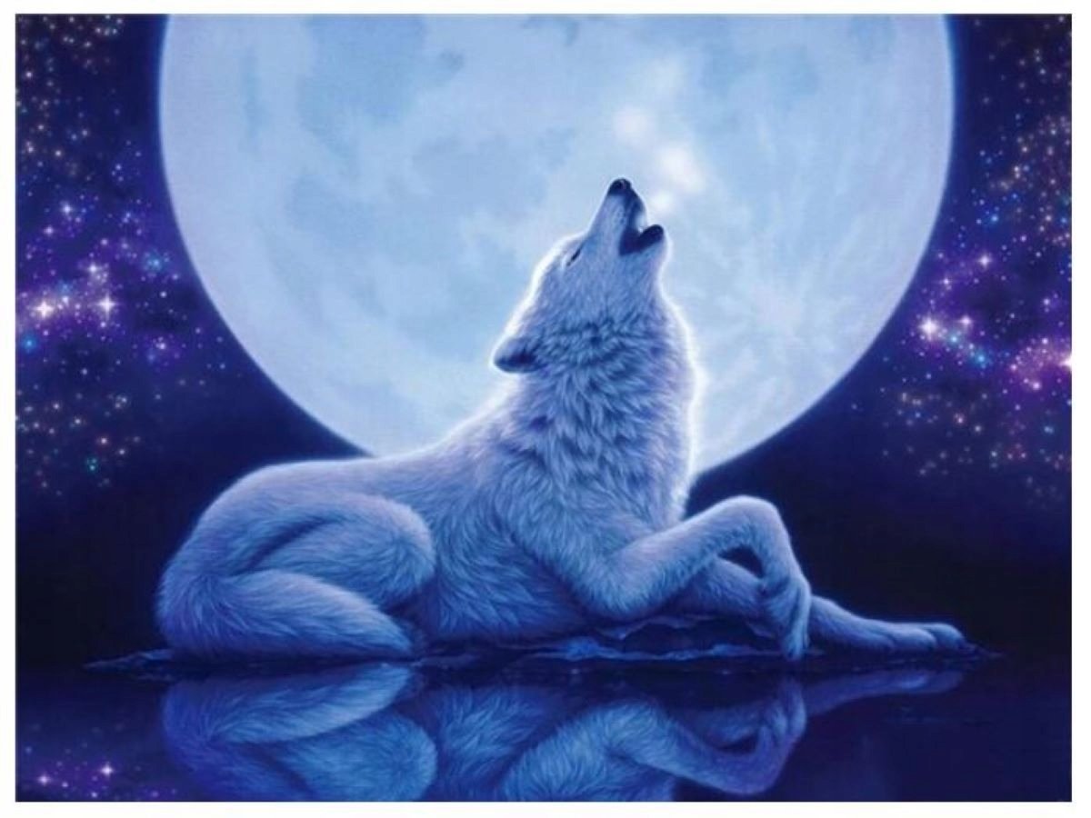 MOZAIKA DIAMENTOWA HAFT DIAMENTOWY 5D WILK