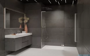 Radaway Modo SL II kabina Walk-in 100x200 lewa szkło przejrzyste 10319104-01-01L - Kabiny prysznicowe - miniaturka - grafika 3