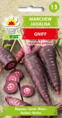Nasiona i cebule - Marchew Gniff o ametystowej barwie nasiona 0,5g Toraf - miniaturka - grafika 1