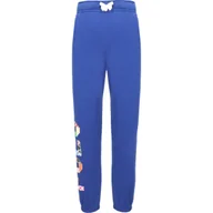 Spodnie sportowe damskie - POLO RALPH LAUREN Spodnie dresowe ATHLETIC | Regular Fit - miniaturka - grafika 1
