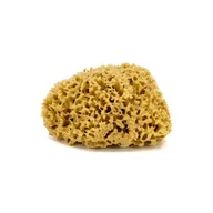 Inne akcesoria do pielęgnacji dzieci - Gąbka do kąpieli - naturalna morska - rozmiar M. 12-14 cm - miniaturka - grafika 1