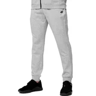 Spodnie sportowe męskie - Spodnie dresowe męskie 4F H4L22-SPMD350 27M - L - miniaturka - grafika 1
