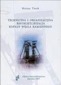 Technika - Techniczna i organizacyjna restrukturyzacja kopalń węgla kamiennego - miniaturka - grafika 1