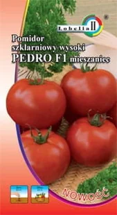 Pomidor gruntowy Pedro 0,5g / L / - Nasiona i cebule - miniaturka - grafika 1