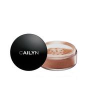 Pudry do twarzy - Cailyn Cailyn Deluxe Mineral Bronzer Powder 01 Golden Peach 9.0 g - miniaturka - grafika 1