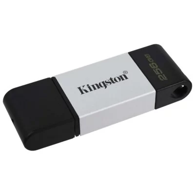 Kingston DataTraveler 80 (DT80 256GB)