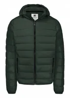 Kurtki męskie - Kurtka zimowa męska Pit Bull Seacoast III ciemno zielona M - miniaturka - grafika 1