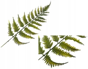 LIŚĆ ŁODYGA PAPROCI liście do stroika bukietu kompozycji doniczki flakonu - Sztuczne kwiaty - miniaturka - grafika 1