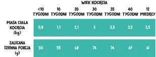 Wiejska Zagroda Kurczak z Łososiem 5 kg sucha karma dla kociąt - Sucha karma dla kotów - miniaturka - grafika 4