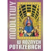 Modlitwy w różnych potrzebach - Religia i religioznawstwo - miniaturka - grafika 1