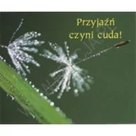 Aforyzmy i sentencje - 140 PERELKA PrzyjaĽń czyni cuda. Perełka 140 - miniaturka - grafika 1