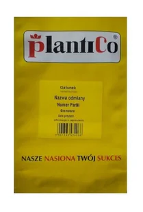 Fasola karłowa Złota Saxa 500 g Plantico POLAN - Nasiona i cebule - miniaturka - grafika 1