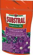 Nawozy ogrodnicze - Substral Nawóz Magiczna Siła do powojnika 350g, marki sub1323101 - miniaturka - grafika 1