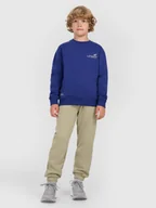 Spodnie i spodenki dla chłopców - 4F Spodnie dresowe joggery chłopięce - zielone 122 (6-7 lat) - miniaturka - grafika 1