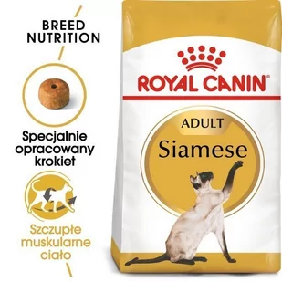 Royal Canin Siamese 38 2 kg - Sucha karma dla kotów - miniaturka - grafika 1