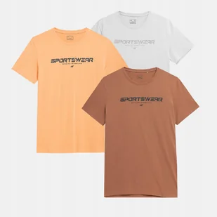 T-SHIRT KOSZULKA MĘSKA 4F ZESTAW KOMPLET 3 SZTUKI - Koszulki męskie - miniaturka - grafika 1