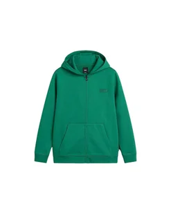 Dziecięca bluza z kapturem Vans Core Basics Pullover VN000JBWJ5F L - Bluzy męskie - miniaturka - grafika 1