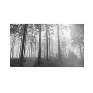 Deski do krojenia - Szklana deska do krojenia HOMEPRINT Widok na sosnowy las 60x52 cm - miniaturka - grafika 1