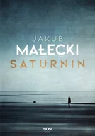 E-booki - literatura polska - Saturnin - miniaturka - grafika 1