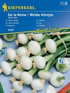 Nasiona i cebule - Cebula 'Zwiebel De la Reine' biała nasiona Kiepenkerl - miniaturka - grafika 1