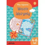 Książki edukacyjne - ADAMADA Plac tajemnic. Wesołe labirynty 1 (4-6 lat) - Aleksandra Golecka-Mazur - miniaturka - grafika 1