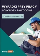 E-booki - prawo - Wypadki przy pracy i choroby zawodowe. Kompendium wiedzy - miniaturka - grafika 1