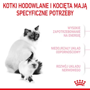 ROYAL CANIN  Mother&Babycat 2kg + niespodzianka dla kota GRATIS! - Sucha karma dla kotów - miniaturka - grafika 4