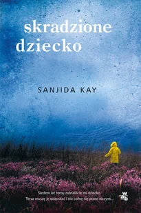 Sanjida Kay Skradzione dziecko - Kryminały - miniaturka - grafika 2