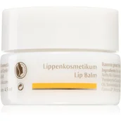 Balsamy do ust - Dr. Hauschka Dr Hauschka Dr Hauschka Eye And Lip Care odżywczy balsam do ust Lip Balm) 4,5 ml - miniaturka - grafika 1