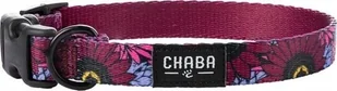 Chaba CHABA OBROŻA REG. STORY ``S`` LAKOTA 20-33x1,6cm - Obroże dla psów - miniaturka - grafika 1