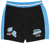 Spodenki męskie - spodenki męskie SANTA CRUZ TTE WORLDWIDE MESH SHORT BLACK - miniaturka - grafika 1