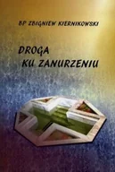 Religia i religioznawstwo - Droga ku zanurzeniu - miniaturka - grafika 1