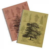 Zeszyty szkolne - Pakiet 2 x Kołozeszyt A4 w kratkę 80k format (A4-) - miniaturka - grafika 1