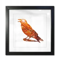 Ramki na zdjęcia - Ramka Czarna 50x50 z Pass Partout Drewno Emily - miniaturka - grafika 1