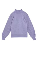 Swetry damskie - DeFacto Sweter normalny krój dla kobiet - sweter z golfem dla topów damski (fioletowy, L), fioletowy, L - miniaturka - grafika 1