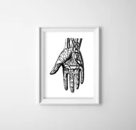 Plakaty - Plakat w stylu vintage Ręce anatomiczne - miniaturka - grafika 1