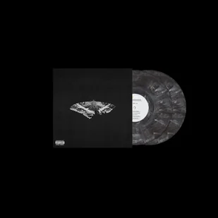 To Pimp A Butterfly (10th Anniversary) exclusive LP - Winyle - miniaturka - grafika 1