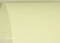 Dekoratorstwo - [ MC.17-18 ] Papier Aster 250g Płótno ecru - 100A4 / al *  Papier Aster 250g Płótno ecru pak. 100A4 - miniaturka - grafika 1