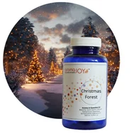 Zapachy do domu - CHRISTMAS FOREST - Kompozycja Zapachowa 200 ml - miniaturka - grafika 1