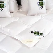 Kołdry - DREAM kołdra wiosenna puch 90% AMZ - miniaturka - grafika 1